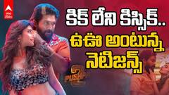 పుష్ప 2 మూవీలోని కిస్సిక్ సాంగ్‌పై విపరీతమైన ట్రోల్స్