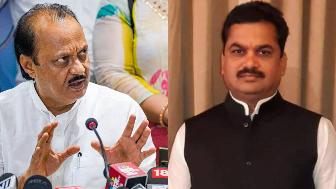 हार के बाद अजित पवार पर भड़के BJP नेता राम शिंदे, लगाया ये आरोप Maharashtra Assembly Election Results 2024 BJP Ram Shinde lost to Rohit Pawar raised questions on Ajit Pawar NCP हार के बाद अजित पवार पर भड़के BJP नेता राम शिंदे, लगाया ये आरोप
