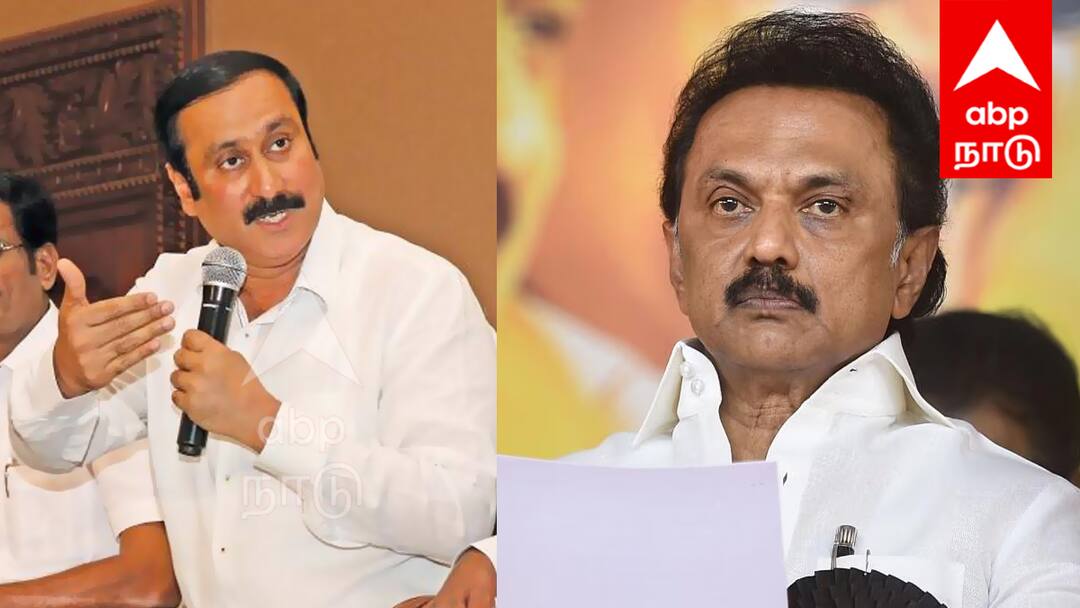 மு.க.ஸ்டாலினுக்கு ஏன் இவ்வளவு பதட்டம்? அமெரிக்காவில் மானம் போகுது - கொந்தளித்த அன்புமணி Anbumani says Why is MK Stalin so nervous He is losing his dignity in America tnn மு.க.ஸ்டாலினுக்கு ஏன் இவ்வளவு பதட்டம்? அமெரிக்காவில் மானம் போகுது - கொந்தளித்த அன்புமணி