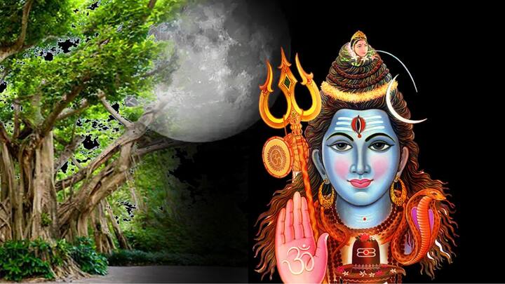 On Margashirsha Amavasya, offer water to Shivalinga and then sit in the Shivalaya and recite Shiva Sahasranama. It is believed that this strengthens Rahu in the horoscope.