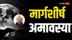 Margashirsha Amavasya 2024: राहु बना सकता है करोड़पति, मार्गशीर्ष अमावस्या पर ये उपाय करना न भूलें