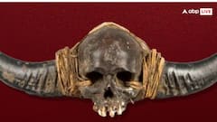 ब्रिटेन में किसकी खोपड़ी हो रही थी नीलाम, जिसे वापस लाने की मांग कर रहीं नागालैंड की जनजातियां?