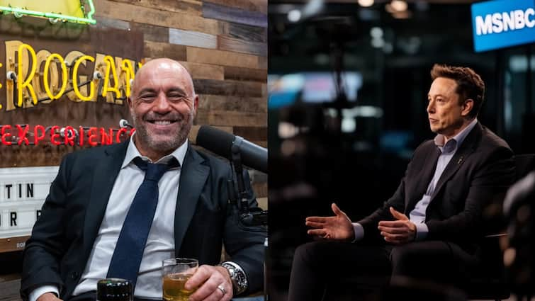 Elon Musk To Buy MSNBC UFC Analyst Joe Rogan Proposal Job Switch To Rachael Maddow X Owner Hails Offer