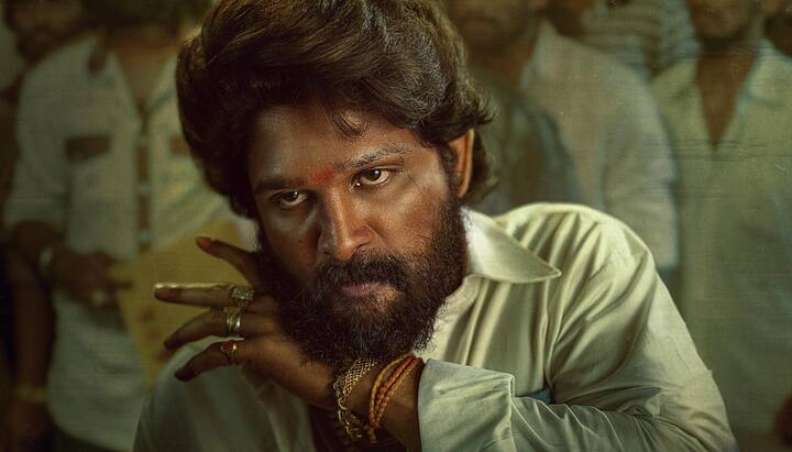 इस बार 12 साल बाद दोनों की तीसरी फिल्म पुष्पा द राइज आई. फिल्म को पूरे देश में पसंद किया गया और अल्लू पैन इंडिया स्टार बन गए. इस फिल्म ने सैक्निल्क के मुताबिक 300 करोड़ के ऊपर की कमाई की थी.