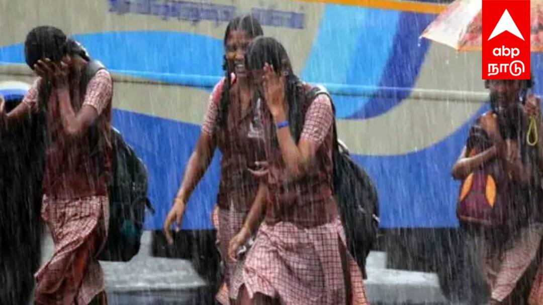 cuddalore Schools Colleges Declared Holiday November 29th 2024 Due To Heavy Rain Fengal Cyclone TNN Schools Colleges Holiday: ஃபெங்கல் புயல் எதிரொலி ; இந்த மாவட்ட பள்ளி, கல்லூரிகளுக்கு நாளை விடுமுறை