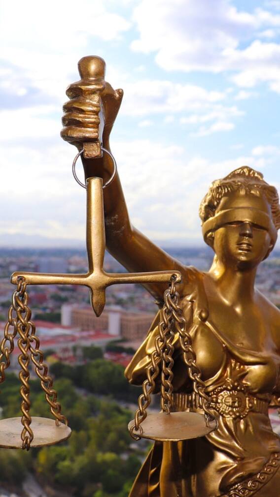 दोहरी नागरिकता पर क्या कहता है भारत का संविधान?