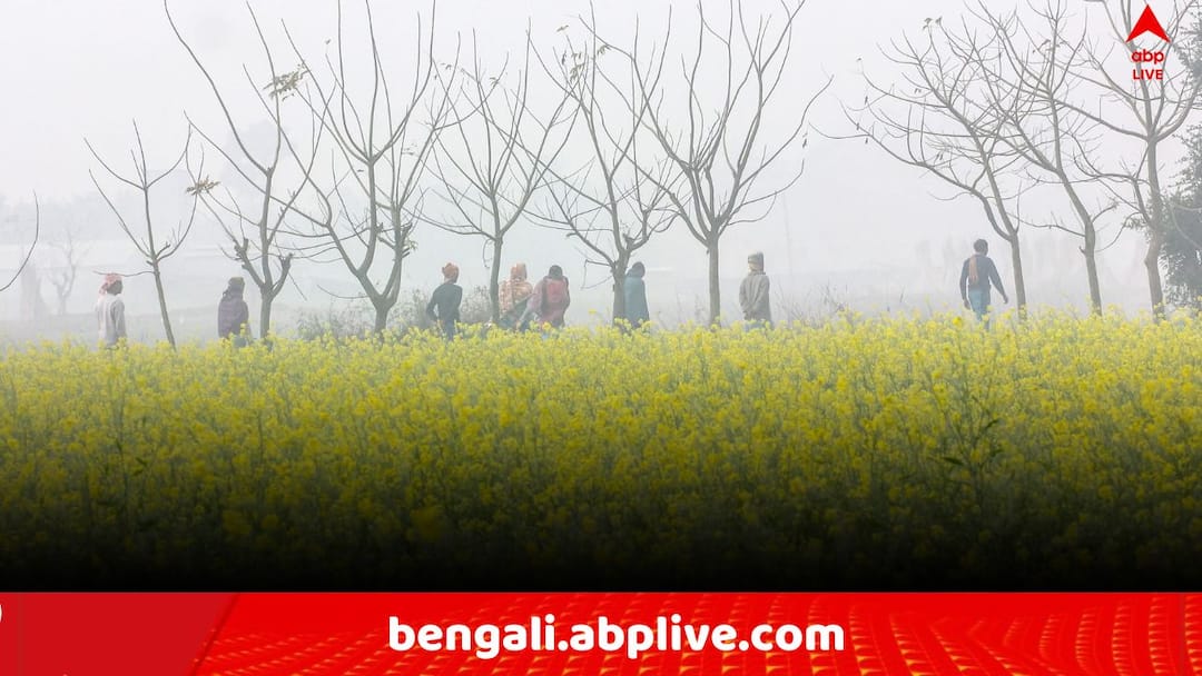West Bengal Weather update On 27 November Deep Depression Storm alert in North West India Rain Forecast Temperature Decrease in Kolkata South Bengal North Bengal tomorrow Weather Update: ধেয়ে আসছে পশ্চিমী ঝঞ্ঝা ! শক্তি বাড়িয়ে অতি গভীর নিম্নচাপের আশঙ্কা, এল জরুরি আপডেট