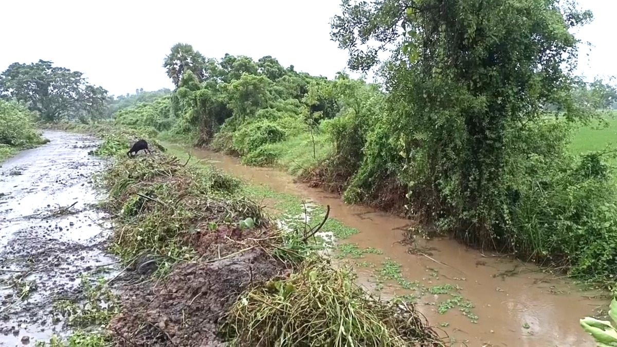 TN Rain; கனமழை எதிரொலி மயிலாடுதுறை மாவட்டத்தில் பள்ளி கல்லூரிகளுக்கு நாளை இரண்டாவது நாளாக விடுமுறை...!