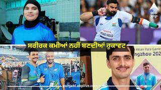 ਬੇਹਿੰਮਤੇ ਨੇ ਜਿਹੜੇ ਬਹਿਕੇ....., ਸਫਲਤਾ ਲਈ ਸਰੀਰਕ ਕਮੀਆਂ ਨਹੀਂ ਬਣ ਸਕਦੀਆਂ ਰੁਕਾਵਟ, ਪੜ੍ਹੋ ਜੋਸ਼ ਭਰ ਦੇਣ ਵਾਲੀ ਕਹਾਣੀ