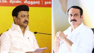 DMK VS PMK: 'வேறு வேலை இல்லை' அனல் பறக்கும் அரசியல் களம்.. முதலமைச்சர் கோபத்தின் பின்னணி ?