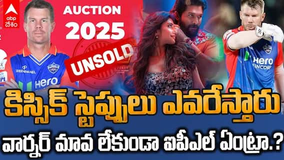 డేవిడ్ వార్నర్‌ లేకుండానే ఈసారి ఐపీఎల్