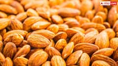 ज्यादा बादाम खाना भी सेहत के लिए हो सकता है नुकसानदायक, जानें एक दिन में कितने बादाम खाने चाहिए?