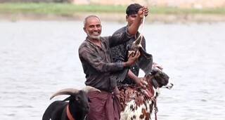 ரத்தம் சொட்ட சொட்ட உயிரை காப்பாற்றிய விஜயகாந்த்... பாம்புதாராவை பறக்கவிட்டு மகிழ்ச்சி