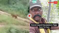 फॉरेस्ट गार्ड्स का अचानक बाघ से हो गया आमना-सामना, फिर ऐसे समझदारी से बचाई जान