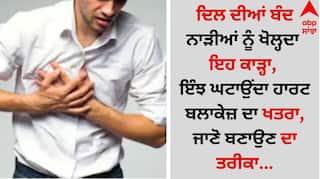 Heart Blockage: ਦਿਲ ਦੀਆਂ ਬੰਦ ਨਾੜੀਆਂ ਨੂੰ ਖੋਲ੍ਹਦਾ ਇਹ ਕਾੜ੍ਹਾ, ਇੰਝ ਘਟਾਉਂਦਾ ਹਾਰਟ ਬਲਾਕੇਜ਼ ਦਾ ਖਤਰਾ, ਜਾਣੋ ਬਣਾਉਣ ਦਾ ਤਰੀਕਾ