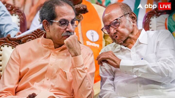 सबसे ज्यादा जमानत जब्त नासिक जिले के उम्मीदवारों की हुई. यहां शिवसेना (यूबीटी) की दो सीटें, कांग्रेस की तीन और एनसीपी (एसपी) की एक सीट पर कैंडिडेट्स ने जमानत जब्त करवाई है.