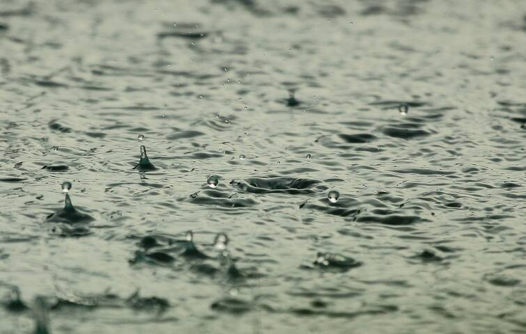 Nagapattinam Schools Leave Due to Heavy Rain Collector Order Tomo Nov 28 Schools Leave: கொட்டித் தீர்க்கும் கனமழை: இந்த மாவட்டத்தில் பள்ளி, கல்லூரிகளுக்கு விடுமுறை?
