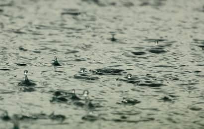Nagapattinam Schools Leave Due to Heavy Rain Collector Order Tomo Nov 28 Schools Leave: கொட்டித் தீர்க்கும் கனமழை: இந்த மாவட்டத்தில் பள்ளி, கல்லூரிகளுக்கு விடுமுறை?