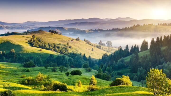 Inputs By: Mr Srikant Goenka, Chairman, IAAPI (Image source: Canva)