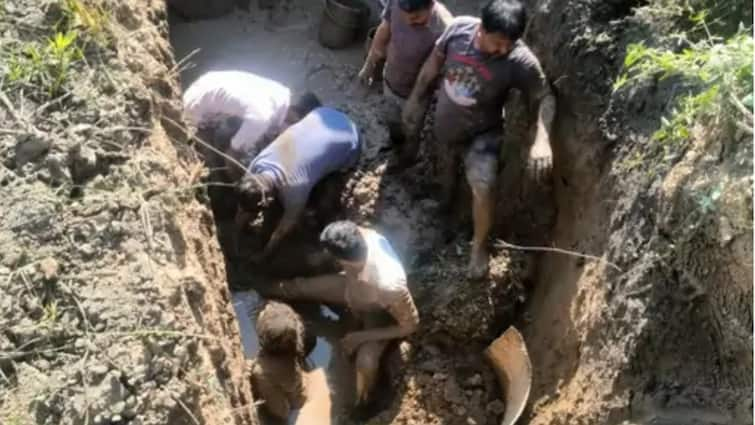 IIT-Delhi Research Student Dies After Harappan Excavation Pit Collapses Over Her In Gujarat's Lothal