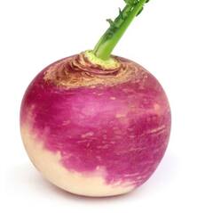 ਸ਼ਲਗਮ ਦੇ ਗੁਣਕਾਰੀ ਲਾਭ, ਇੰਝ ਕਰੋ ਡਾਇਟ ’ਚ ਸ਼ਾਮਲ, ਪਾਚਨ ਪ੍ਰਣਾਲੀ ਤੋਂ ਲੈ ਕੇ ਹੱਡੀਆਂ ਨੂੰ ਮਿਲੇਗਾ ਫਾਇਦਾ