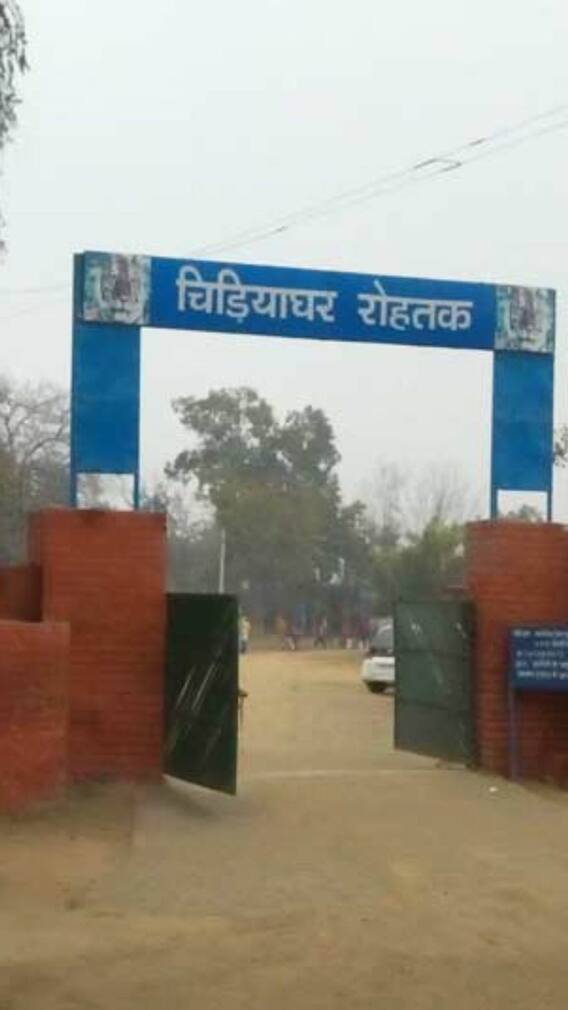 वीकेंड में घूमने के लिए बेस्ट हैं रोहतक की ये जगहें