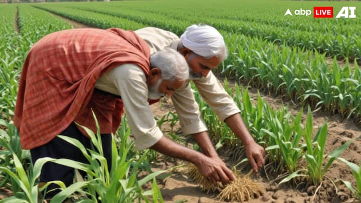 प्रधानमंत्री किसान सम्मान निधि योजना के तहत सरकार किसानों को हर साल 6 हजार रुपये की आर्थिक सहायता देती है, जिसे तीन किस्तों में (2-2 हजार रुपये) प्रदान किया जाता है.