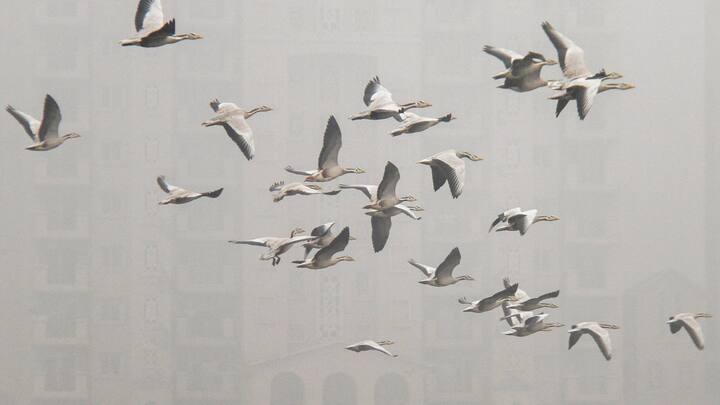 ৩০ নভেম্বর শনিবার ও পয়লা ডিসেম্বর রবিবার হালকা বৃষ্টির সামান্য সম্ভাবনা পূর্ব মেদিনীপুর ও দক্ষিণ ২৪ পরগনা জেলাতে।