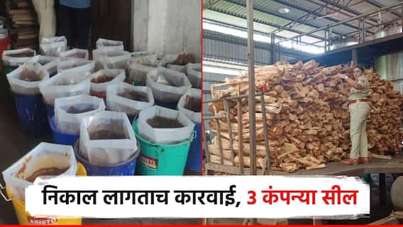 गुजरात सीमेवरुन खैराची तोड, गावात लपवून ठेवलं; नाशिकमध्ये वन विभागाची धाड,3 कंपन्यांना ठोकलं सील