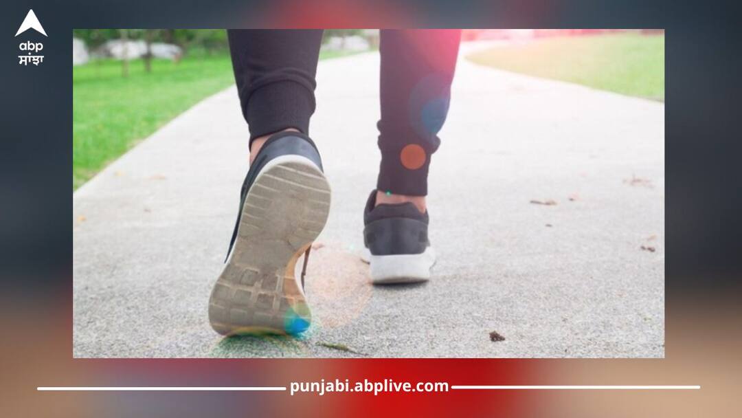 Heart Health: ਕਦੇ ਨਹੀਂ ਹੋਏਗਾ ਹਾਰਟ ਅਟੈਕ, ਬਸ ਰੋਜ਼ਾਨਾ ਸਿਰਫ ਇੰਨੇ ਕਦਮ ਤੁਰੋ Prevent Heart Attacks: Walk This Many Steps Daily health news Heart Health: ਕਦੇ ਨਹੀਂ ਹੋਏਗਾ ਹਾਰਟ ਅਟੈਕ, ਬਸ ਰੋਜ਼ਾਨਾ ਸਿਰਫ ਇੰਨੇ ਕਦਮ ਤੁਰੋ