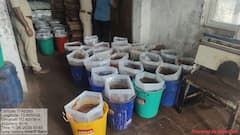 गुजरात सीमेवरुन खैराची तोड, गावात लपवून ठेवलं; नाशिकमध्ये वन विभागाची धाड,3 कंपन्यांना ठोकलं सील