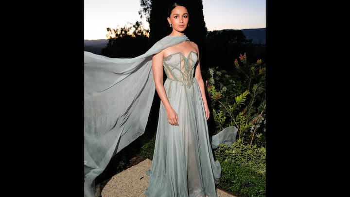 4. Ethereal Sage Green Gown: Alia Bhatt dazzled in a sage green gown with delicate embellishments and a striking cape. The intricate bodice details and ethereal aura gives Alia Bhatt a dreamy look with elegance and modernity. (Image Source: Instagram/@aliaabhatt)
