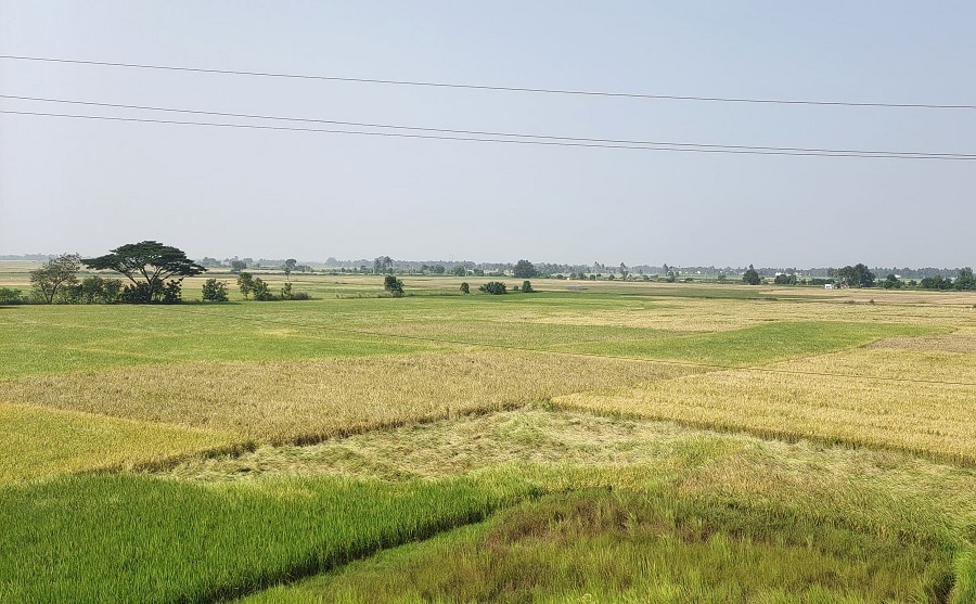 Weather Updates Today: నేడు తుపానుగా మారుతున్న వాయుగుండం, ఏపీలో 3 రోజులు భారీ వర్షాలు - తెలంగాణలో పెరిగిన చలి