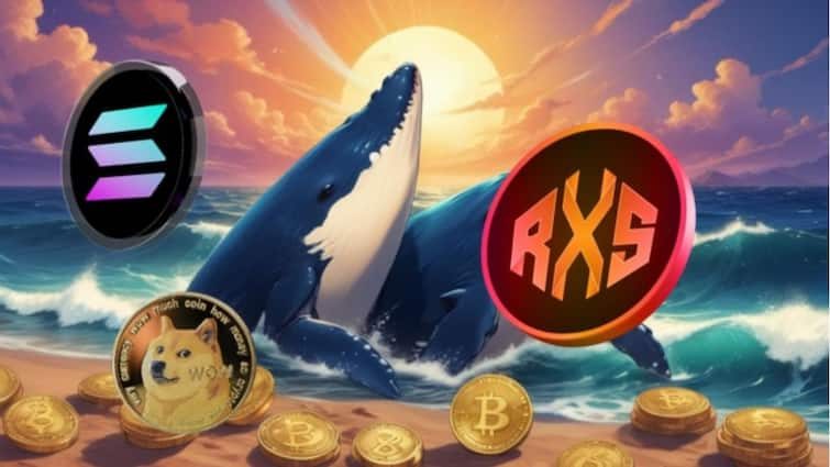 Huge Whale Investor Activity In Solana (SOL), Dogecoin (DOGE), And Rexas Finance (RXS) Hints At Something Big Coming: Details