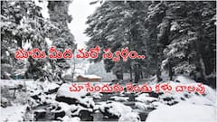 Kashmir Snowfall Photos: భూతల స్వర్గాన్ని తలపిస్తున్న కాశ్మీర్, మంచుతో కళకళలాడుతున్న అందాలు