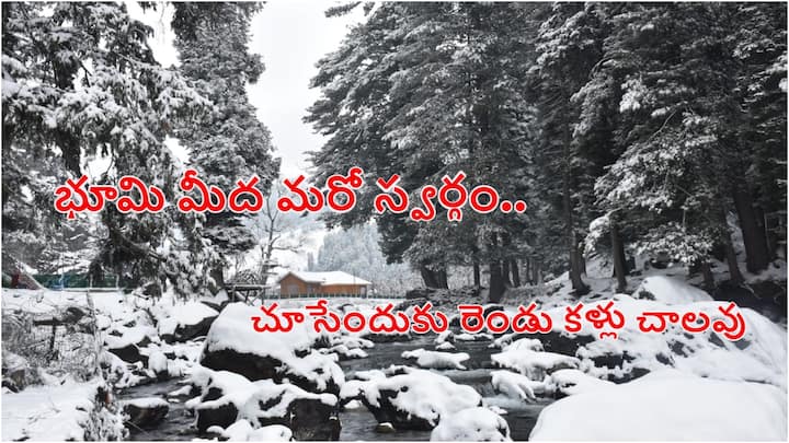 Snowfall In Kashmir | కాశ్మీర్ లోయ భూతల స్వర్గాన్ని తలపిస్తోంది. మంచు దుప్పటి కప్పుకుని భూమి మీదకు స్వర్గం వచ్చిందా అన్నంత అందంగా గల్మార్గ్ , సోనమర్గ్, పహల్గామ్ ప్రాంతాలు కనిపిస్తున్నాయి.