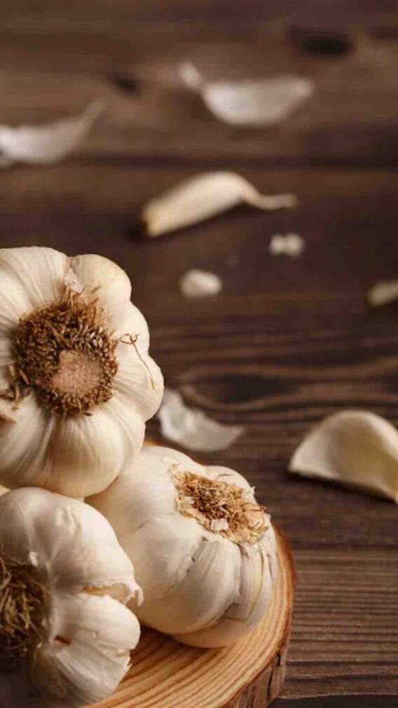 कैसे कर सकते हैं आसानी से लहसुन की खेती