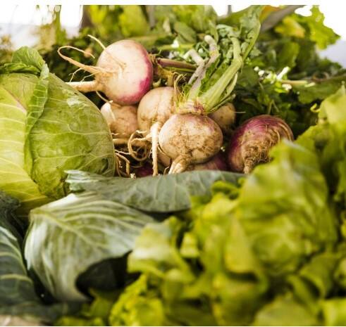 ਸ਼ਲਗਮ ਕੈਲਸ਼ੀਅਮ ਦਾ ਚੰਗਾ ਸਰੋਤ ਹੈ, ਜੋ ਹੱਡੀਆਂ ਨੂੰ ਮਜ਼ਬੂਤ ਅਤੇ ਸਿਹਤਮੰਦ ਰੱਖਣ ’ਚ ਮਦਦ ਕਰਦਾ ਹੈ। ਇਹ ਓਸਟੀਓਪੋਰੋਸਿਸ (ਹੱਡੀਆਂ ਦੀ ਕਮਜ਼ੋਰੀ) ਤੋਂ ਬਚਾਉਣ ’ਚ ਵੀ ਲਾਭਦਾਇਕ ਹੈ।