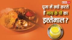 Cow Ghee: पूजा में गाय के घी का इस्तेमाल क्यों करते हैं, कौन सी गाय का घी होता है सबसे शुद्ध