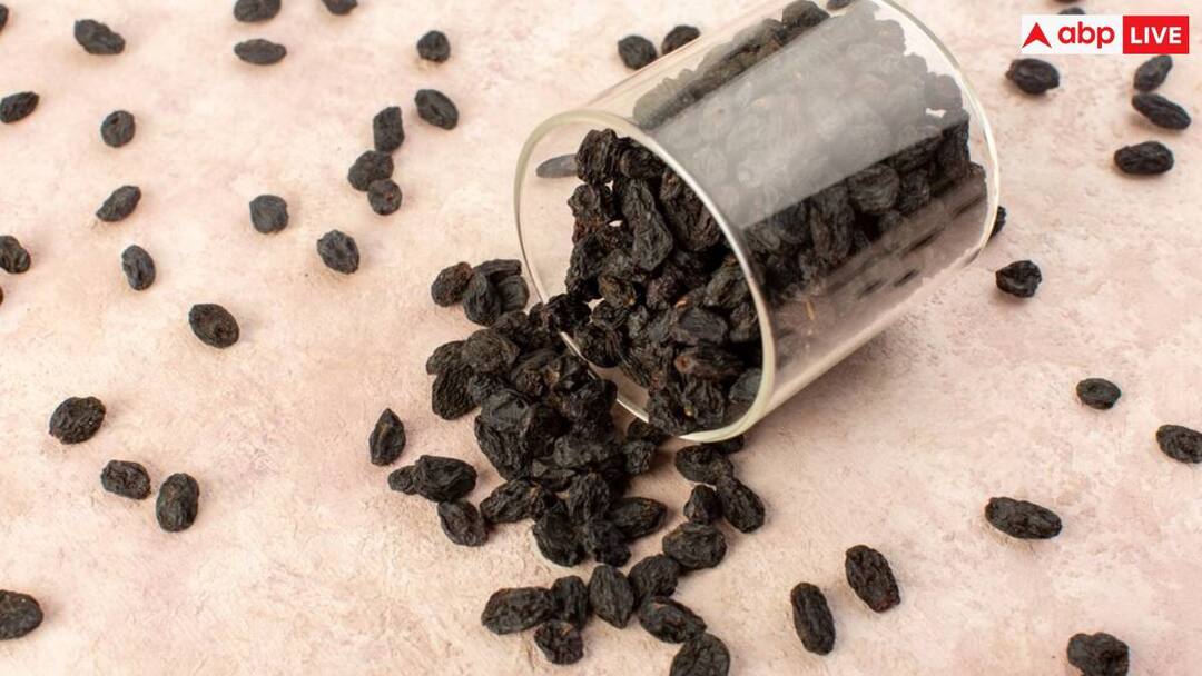 black raisins are very beneficial for people suffering from these problems इन मरीजों के लिए बेहद फायदेमंद है किशमिश, जान लें लेने का सही वक्त और तरीका