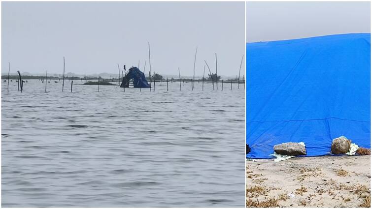 Fengal cyclone viluppuram district Marakkanam salt plant covered rain water ஃபெங்கல் புயல்; கடலாக மாறிய உப்பளம்... 'இதான் சார் எங்க வாழ்க்க' புலம்பும் தொழிலாளர்கள்