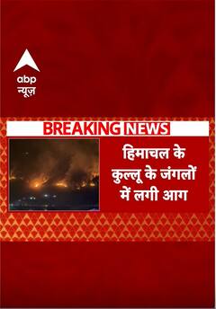 Himachal के जंगलों में लगी भयंकर आग | #shorts