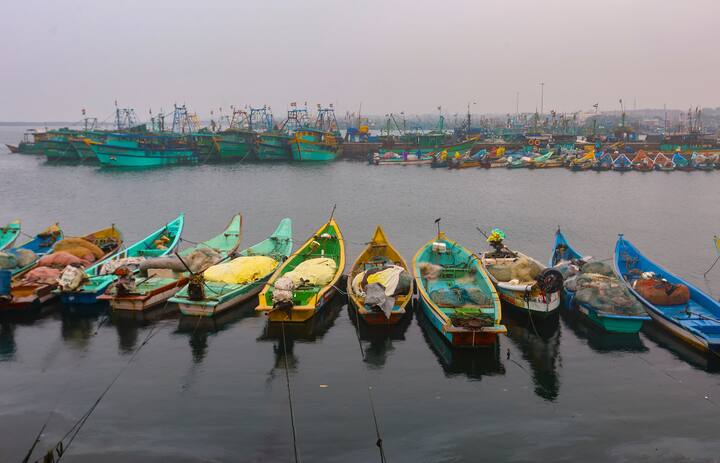 Madras University, Karaikudi Alagappa University, Bharathidhasan University, and the Directorate of Technical Education postponed their semester exams scheduled for Wednesday. Revised dates will be announced later. (Credit: PTI)