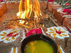 Cow Ghee: पूजा में गाय के घी का इस्तेमाल क्यों करते हैं, कौन सी गाय का घी होता है सबसे शुद्ध