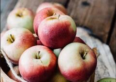 Health Tips: કયા સમયે સફરજન ખાવાથી શરીરને મળે છે વધુ ફાયદો?