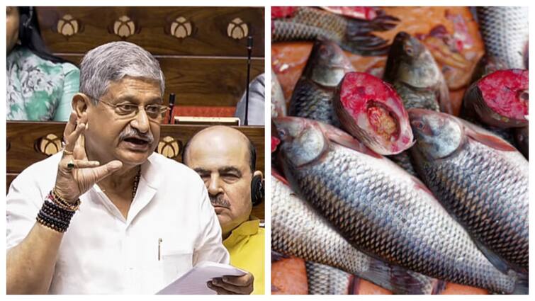 Tamil Nadu to get integrated aquaparks allotted Rs 1156 crore in last five financial years 