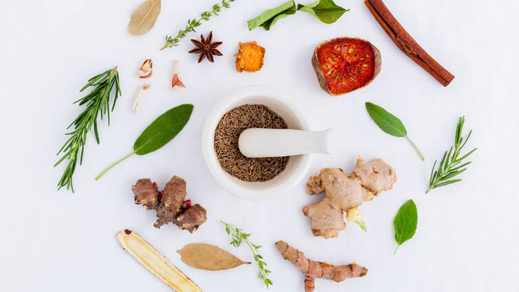 Essential Herbs To Strengthen Your Health This Winter
