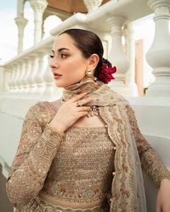 पाकिस्तानी हिरोईन जणू सौंदर्याची खाणच, भारतीय सिंगरला करतीये डेट? 'ही' लावण्यवती अभिनेत्री आहे तरी कोण?