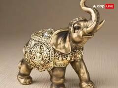 Vastu Tips : घरात हत्तीची मूर्ती नेमकी कोणत्या दिशेला असावी? जाणून घ्या वास्तूशास्त्रात काय म्हटलंय...