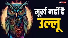 Hindu Dharm: मूर्ख नहीं, उल्लू है गजब का पक्षी हिंदू संस्कृति में इसका विशेष स्थान